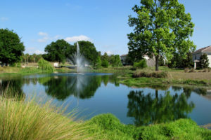 Brentwood-Fountain Brentwood-Fountain