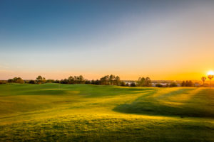 317A7122-HDR 317A7122-HDR